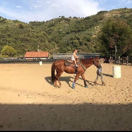 La Stalla, Casa Rustica Nel Ranch Di Cavalli Camporosso  Eksteriør bilde