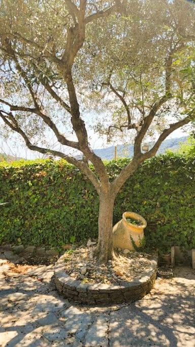 La Stalla, Casa Rustica Nel Ranch Di Cavalli Camporosso  Eksteriør bilde